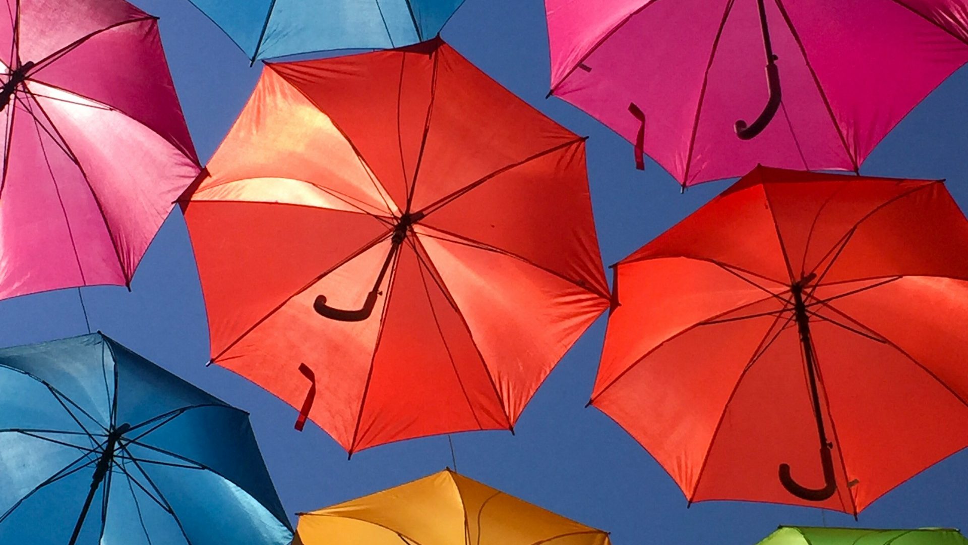 A photo of colourful umbrellas