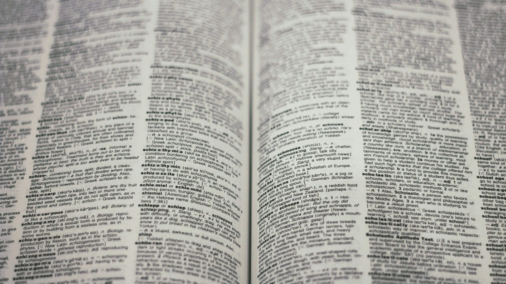 A photo of pages of a dictionary